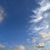 今空