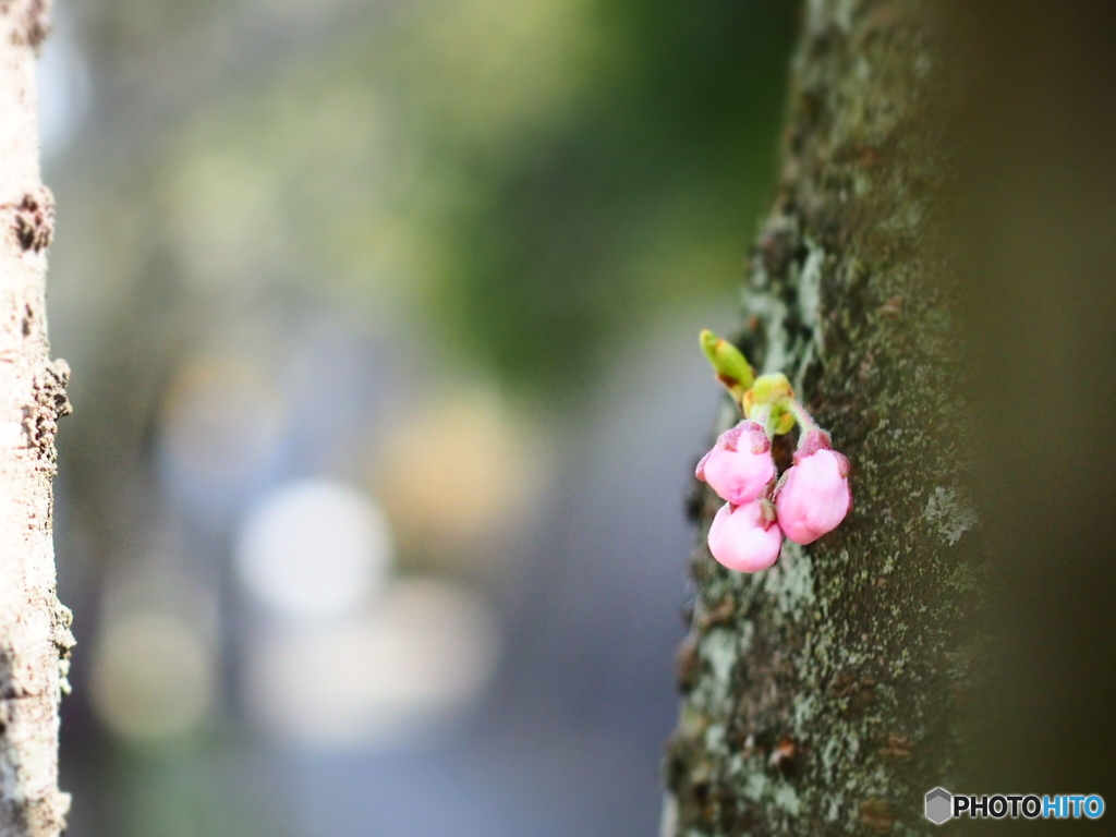 此処に居るの…忘れないでね