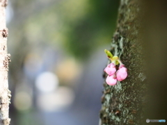 此処に居るの…忘れないでね