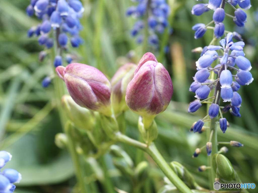 もう少し眠らせてよ