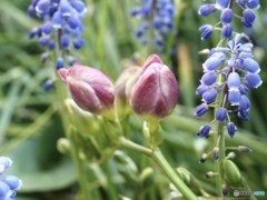 もう少し眠らせてよ