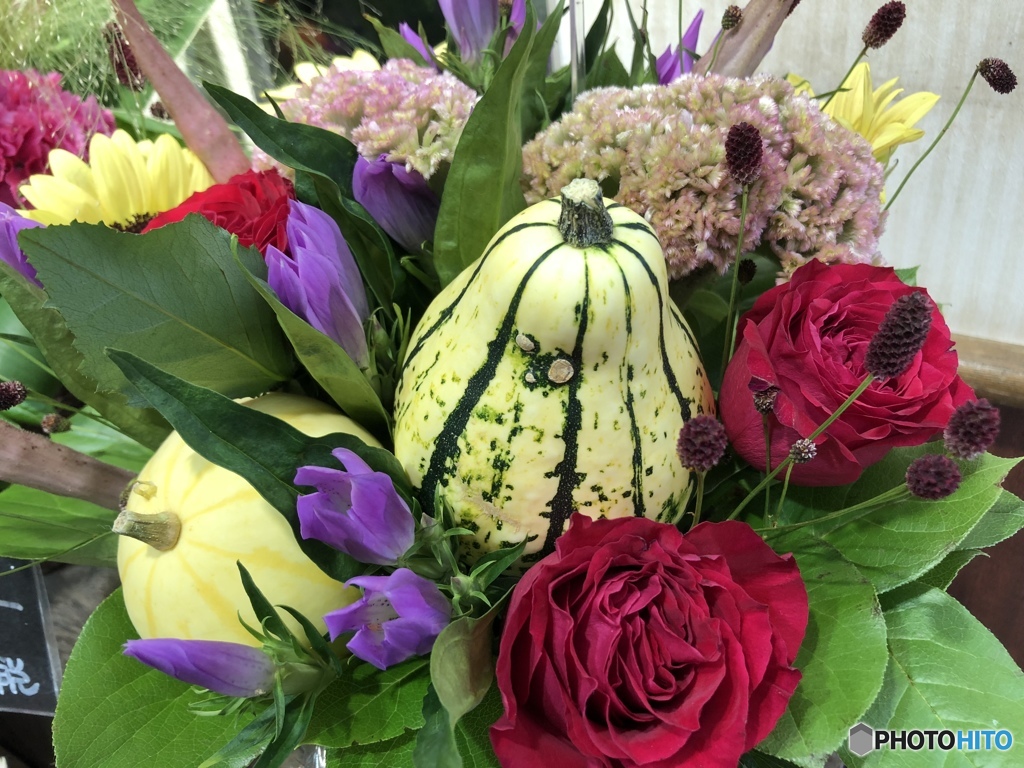 吾亦紅が囁くよ