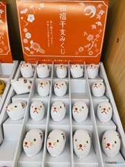 なんちゅうかわいさ！