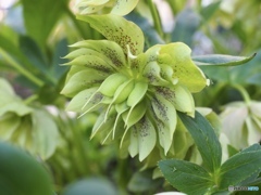 お疲れ様…ありがとう お疲れ様…ありがとう