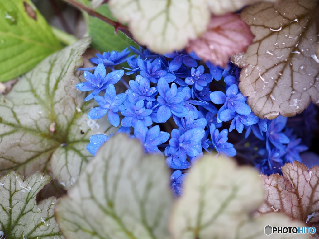 此処から出しておくれよ〜っ