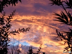 燃えるように… 燃えるように…