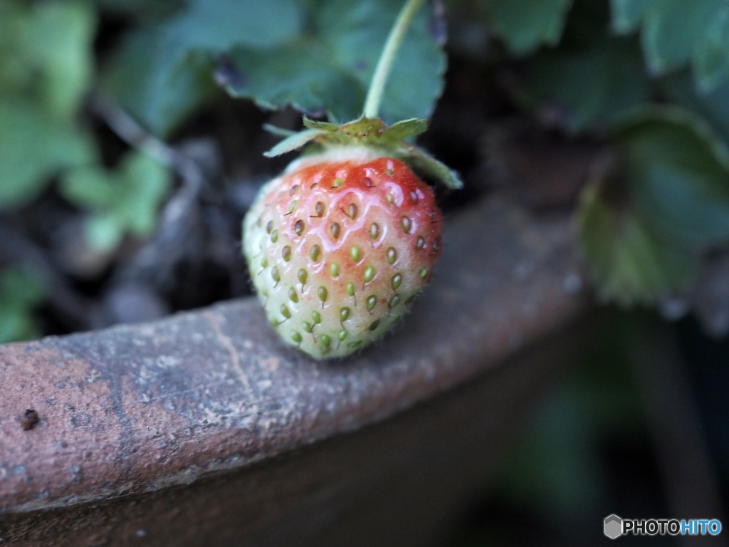 もう少し待っててくれるかな