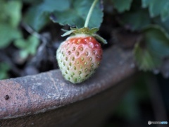 もう少し待っててくれるかな