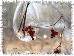 近づく夕暮れ時に