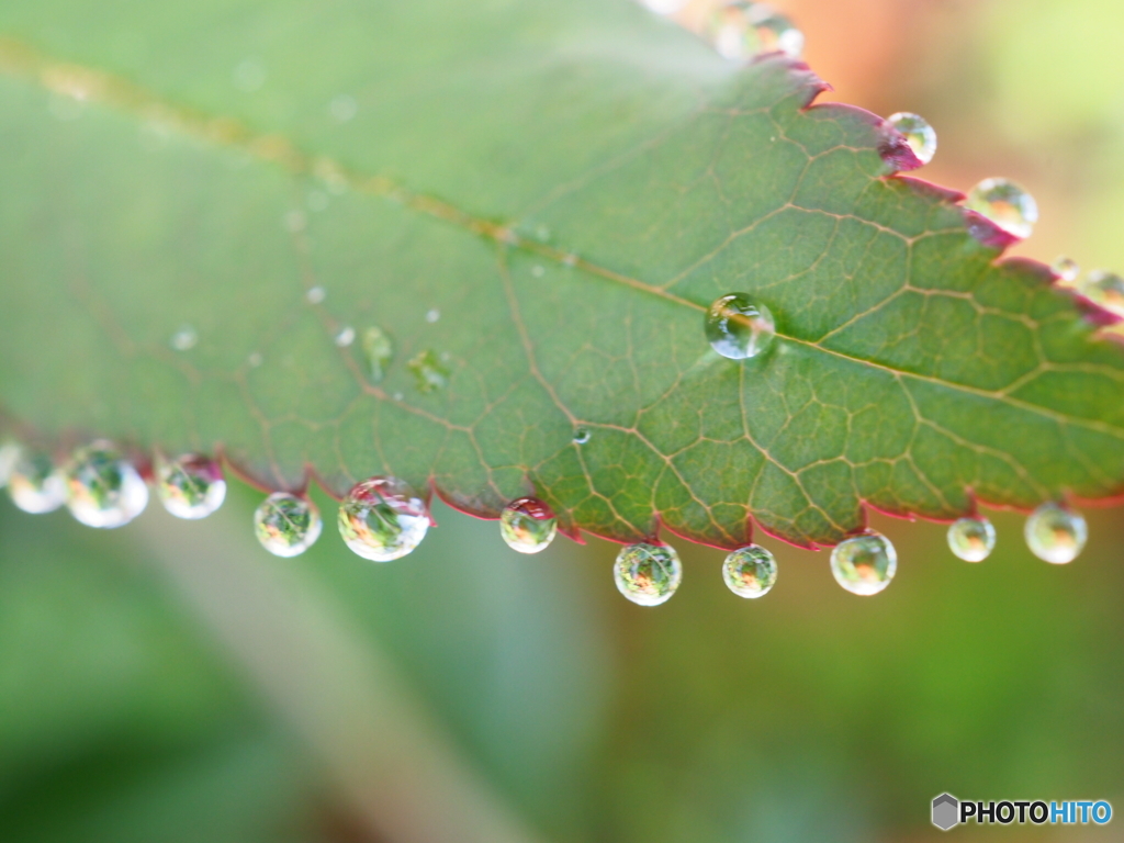 さあ！みんな並んで〜