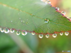 さあ！みんな並んで〜
