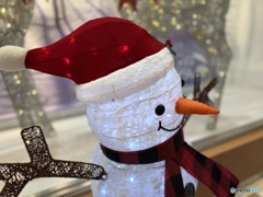 何故に雪だるまは鼻が高いのだろ？