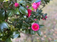 公園にて