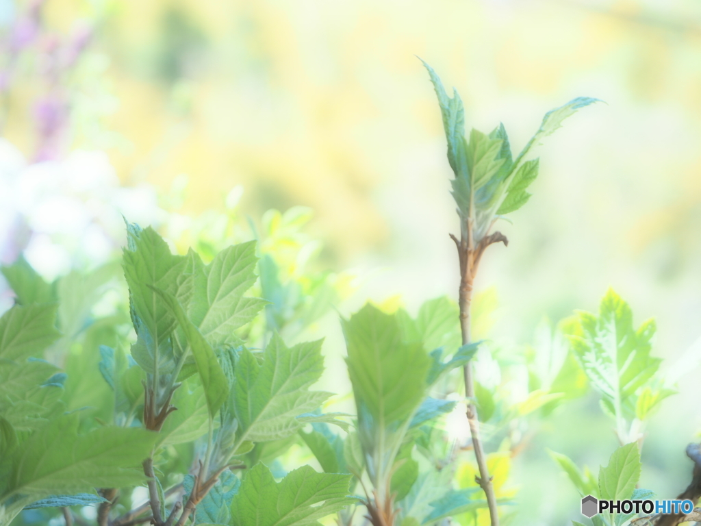 さぁ！これからよ…