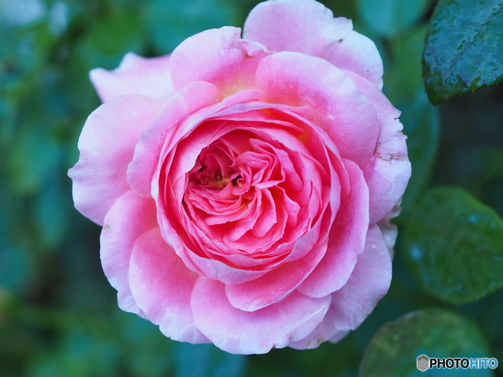 キミと一緒なら…