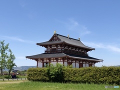 5月の風を感じて