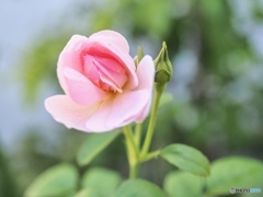 今日の予報最高気温は35℃