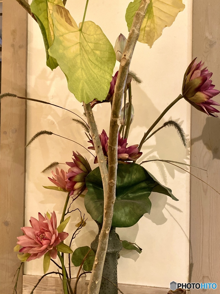 謎なんだけどね