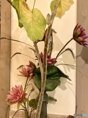 謎なんだけどね