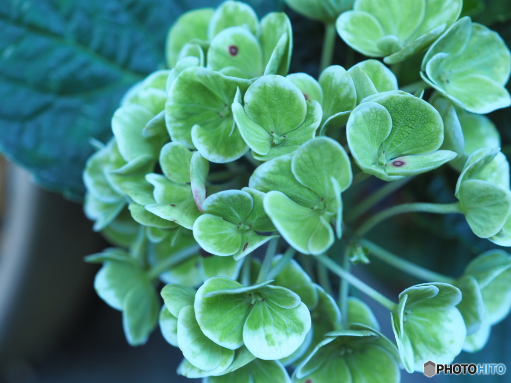 まだ頑張ってます