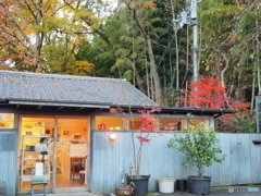 私が好きな場所