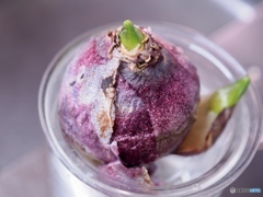 見守っていてね…