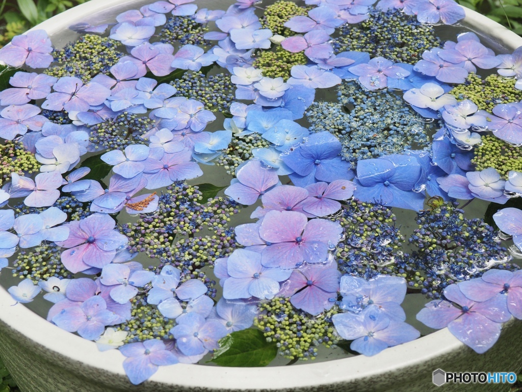 花手水