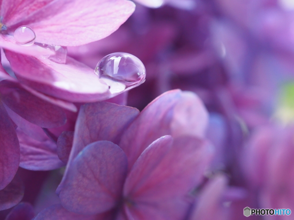 水滴に魅せられて  その2