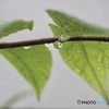 8月3日