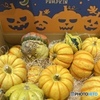 ごろごろpumpkin