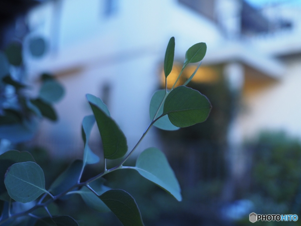 9月なんだけど…