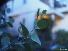 9月なんだけど…