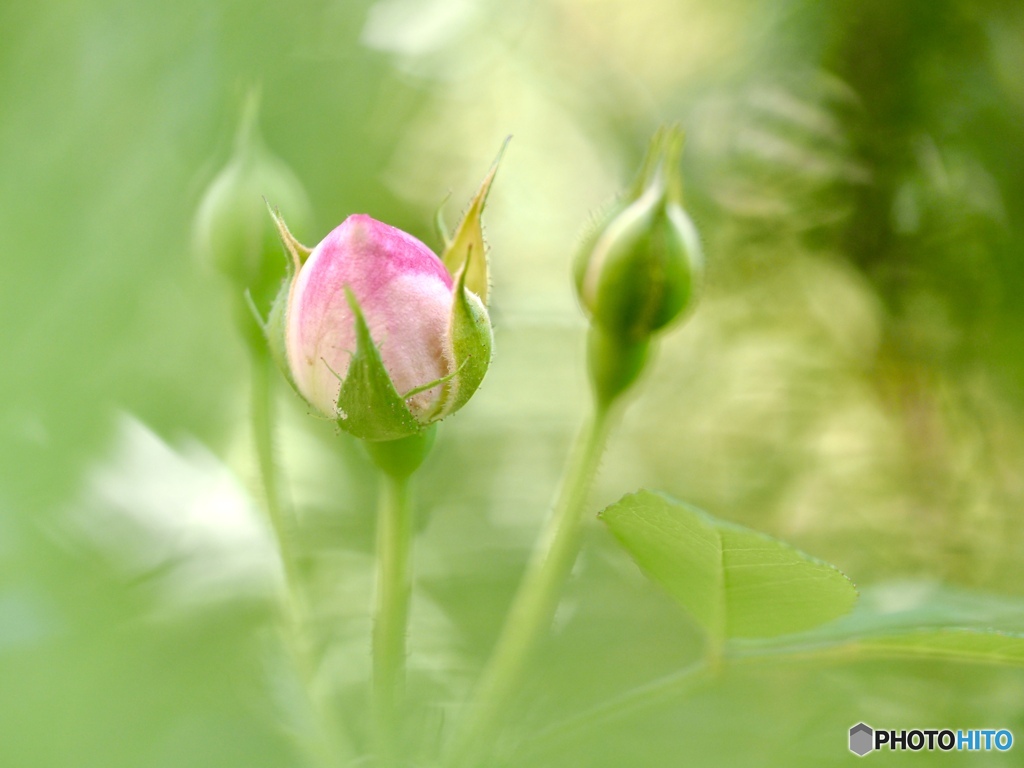 よい日にしようね