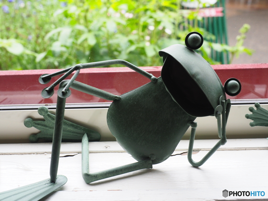 ゆっくりカンガエルのだよ