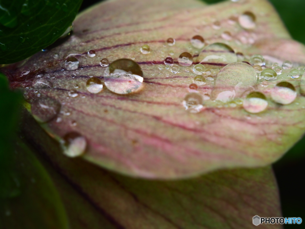 雨に歌えば…