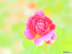 これから・それから