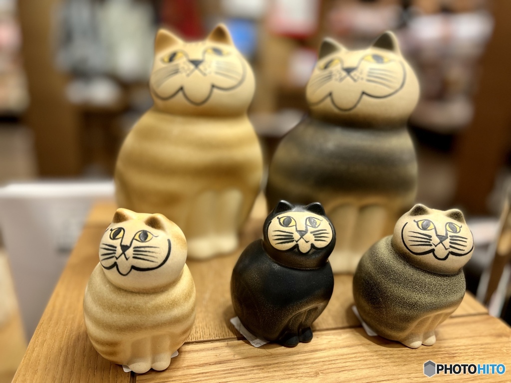 自由気ままに生きるんだ