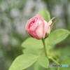 予想最高気温は35℃