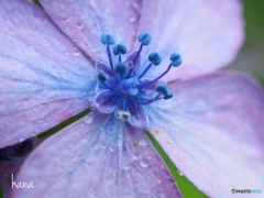 空を見上げていたいから