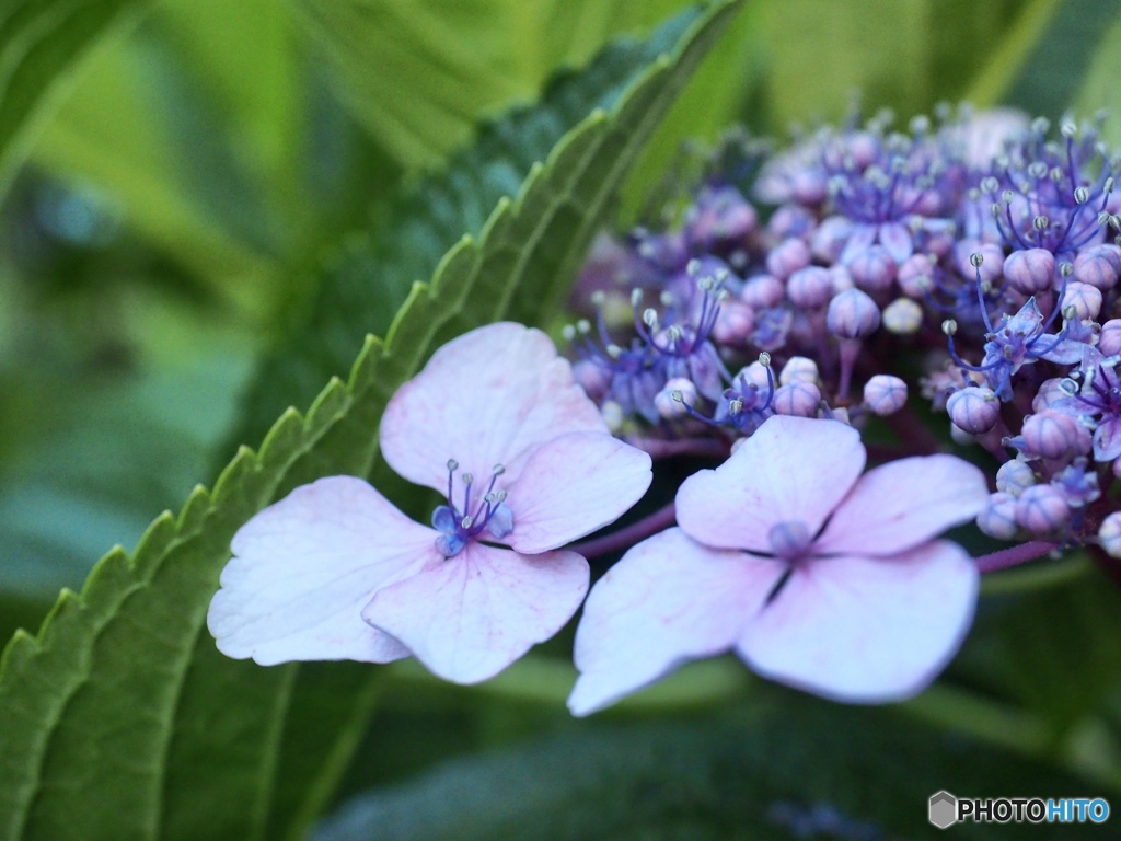 飛び立つ準備は出来ている