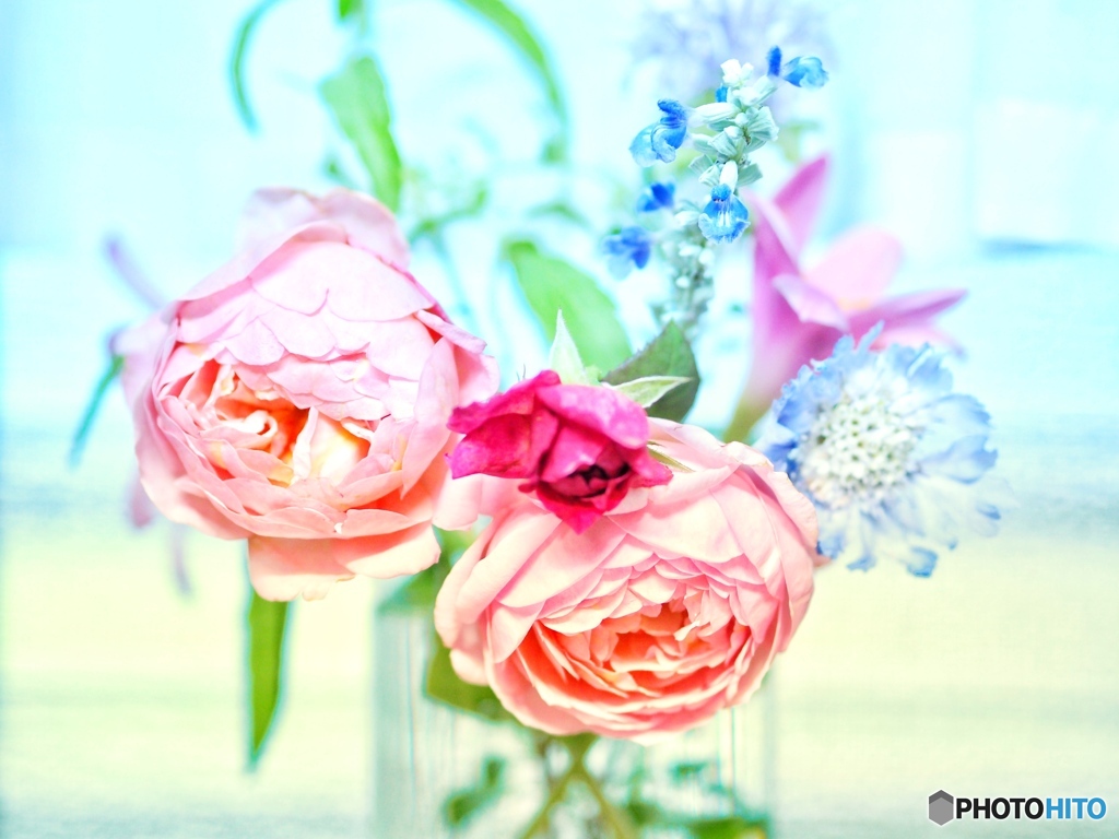 今日もそばにいて…