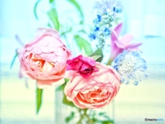 今日もそばにいて…