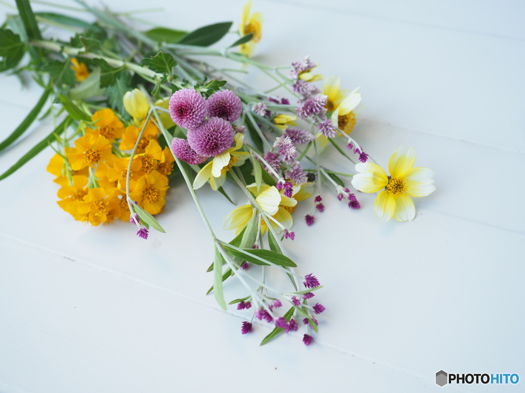 11月5日の朝に…