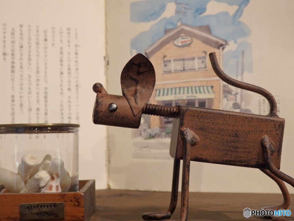 ボクは棚の上に居る