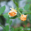 10月16日