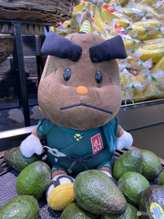 アボガドくんが居ました