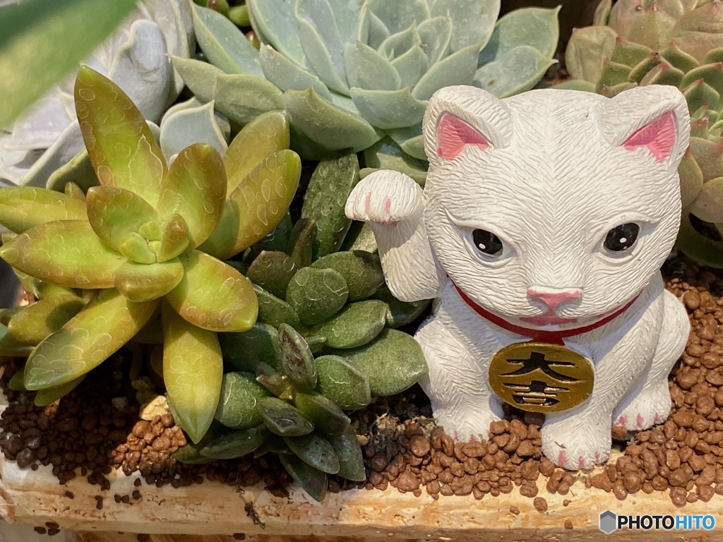 早くおいでよ〜っ