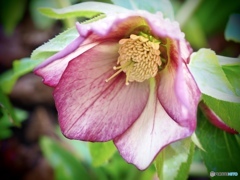 おはよう…愛しいあなた