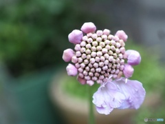 1枚・2枚と…