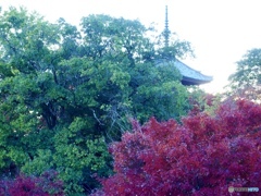 宝積寺と紅葉と